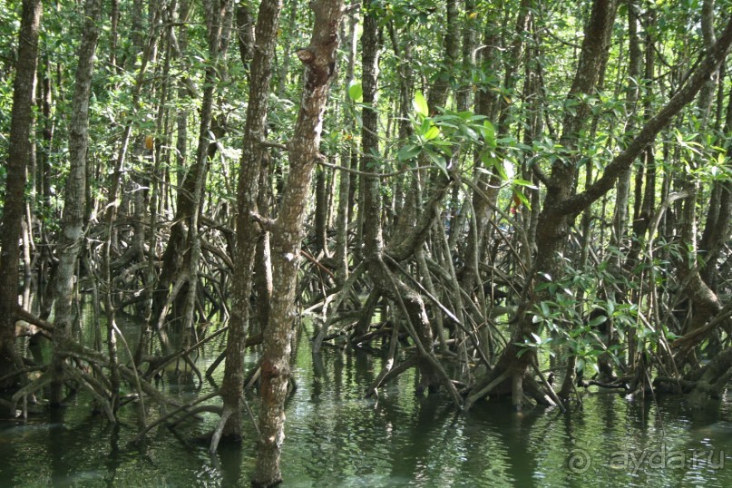 Из Сибири в "Вечное лето"