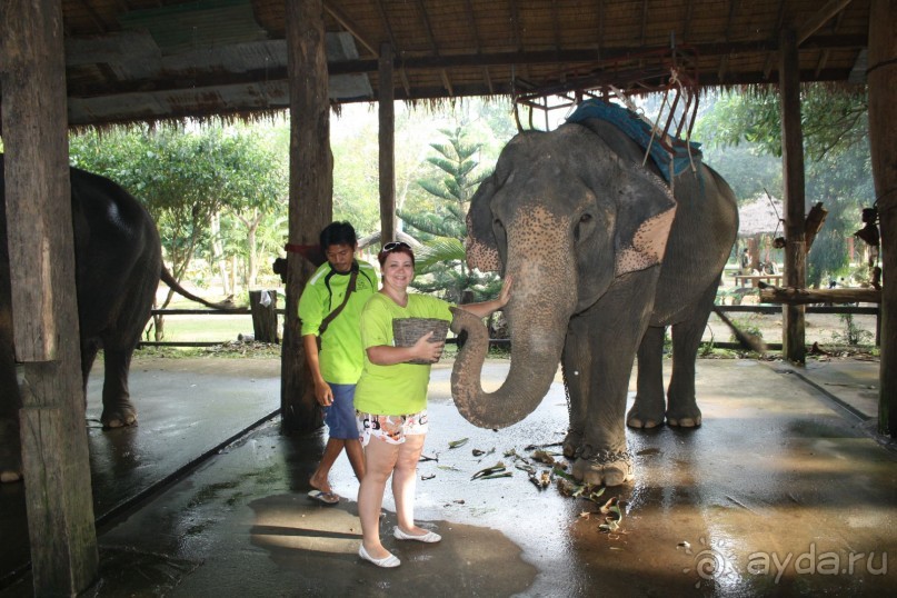 Из Сибири в "Вечное лето"