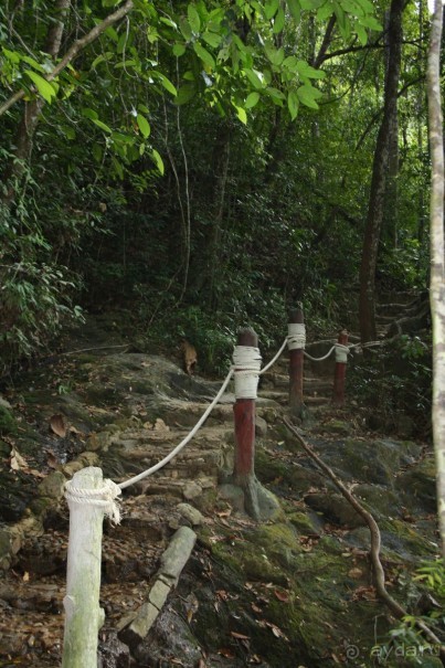 Из Сибири в "Вечное лето"