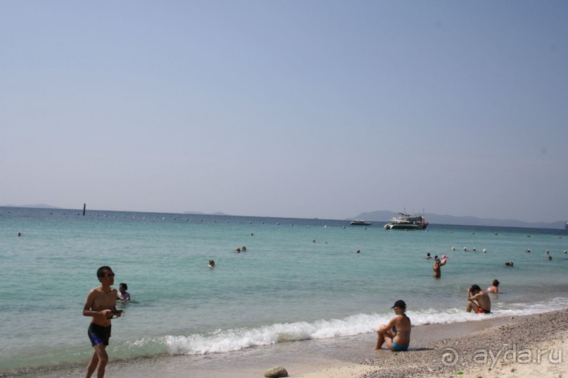 Из Сибири в "Вечное лето"