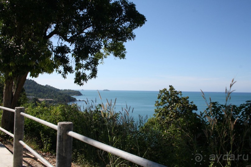 Из Сибири в "Вечное лето"