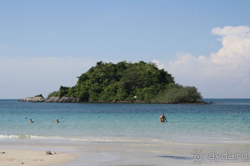Из Сибири в "Вечное лето"