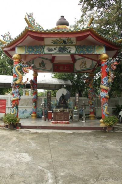 Из Сибири в "Вечное лето"