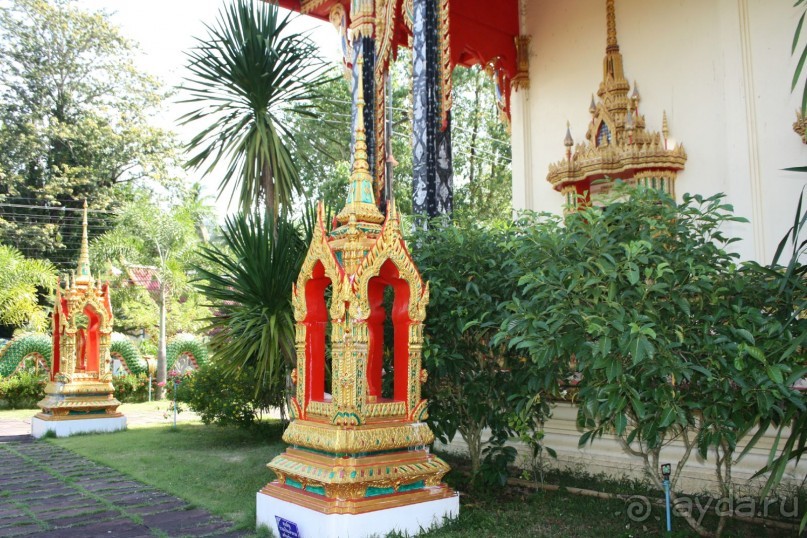 Из Сибири в "Вечное лето"