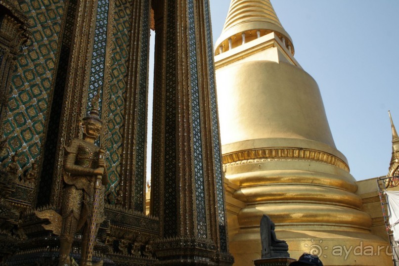 Из Сибири в "Вечное лето"