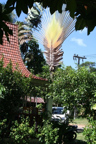 Из Сибири в "Вечное лето"