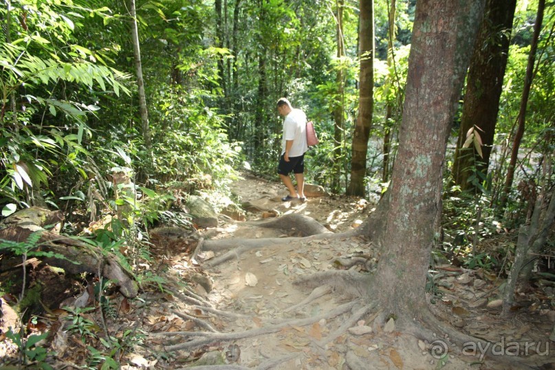 Из Сибири в "Вечное лето"