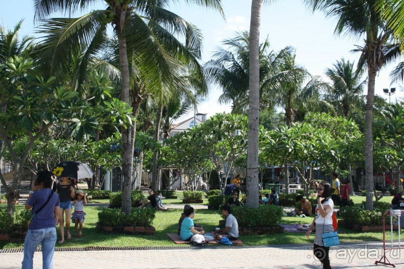 Из Сибири в "Вечное лето"