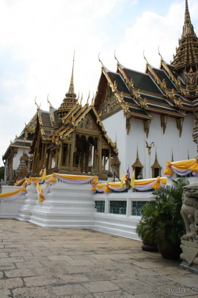 Из Сибири в "Вечное лето"