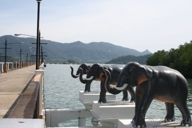 Из Сибири в "Вечное лето"