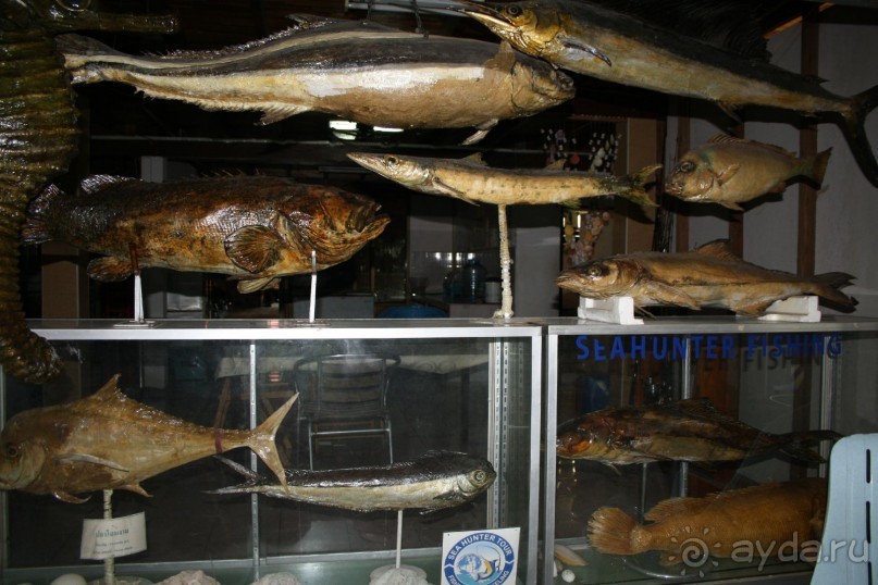 Из Сибири в "Вечное лето"