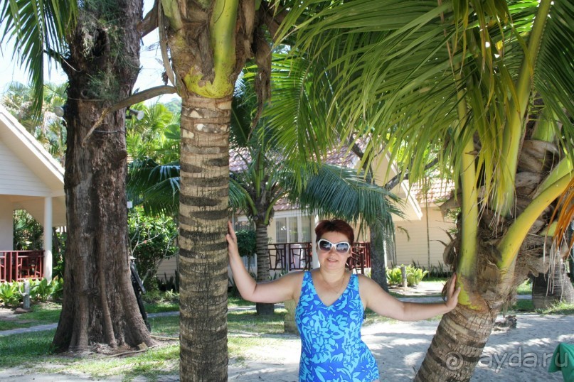 Из Сибири в "Вечное лето"