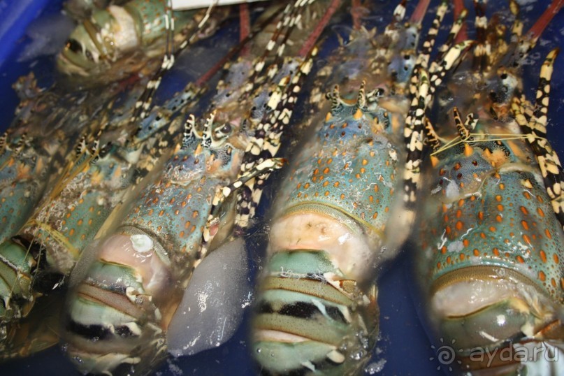 Из Сибири в "Вечное лето"