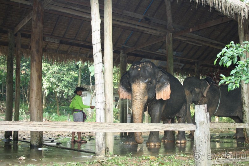 Из Сибири в "Вечное лето"