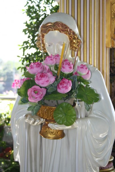 Из Сибири в "Вечное лето"