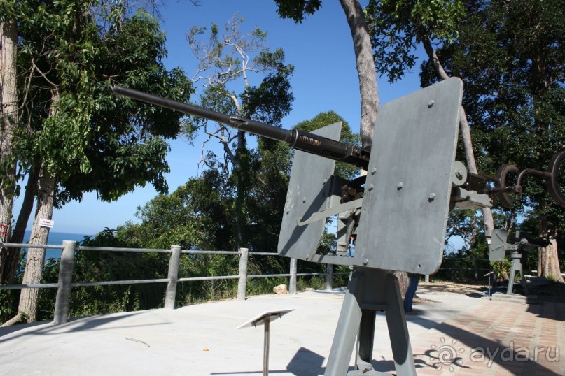 Из Сибири в "Вечное лето"