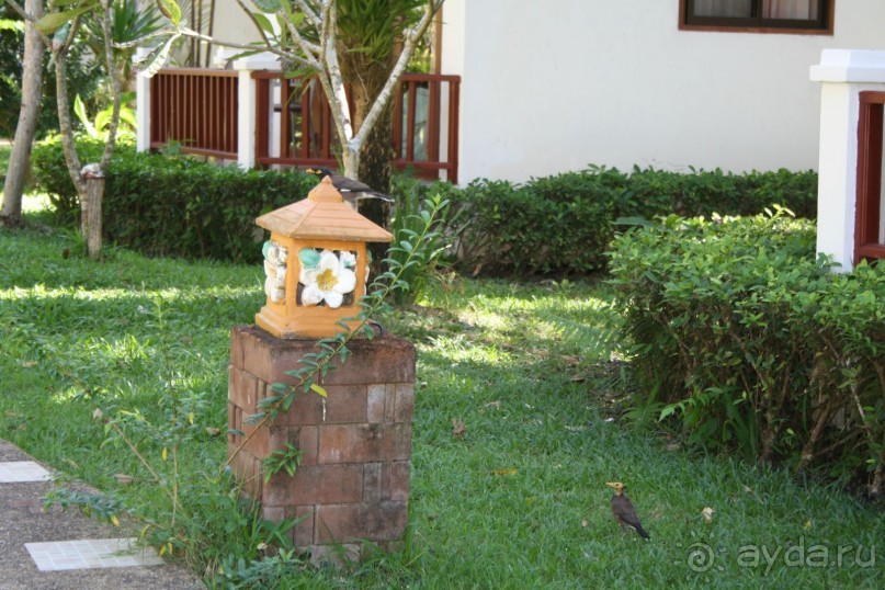 Из Сибири в "Вечное лето"