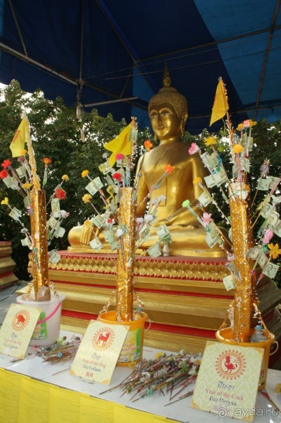 Из Сибири в "Вечное лето"