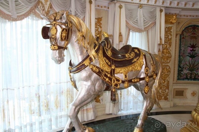 Из Сибири в "Вечное лето"