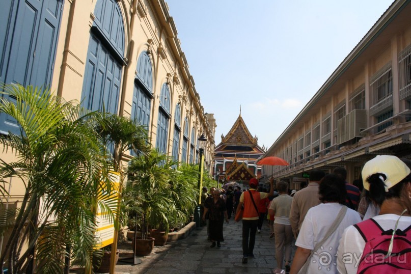 Из Сибири в "Вечное лето"