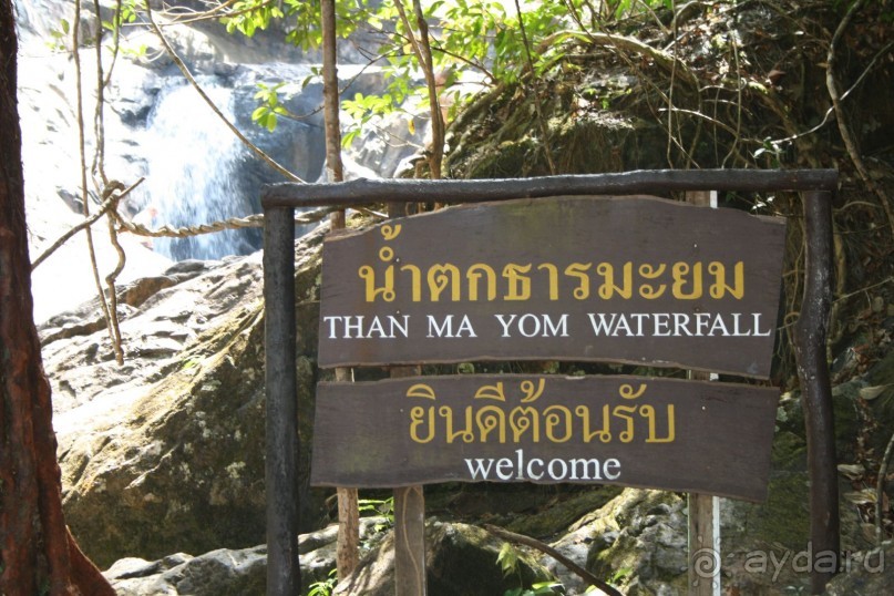 Из Сибири в "Вечное лето"