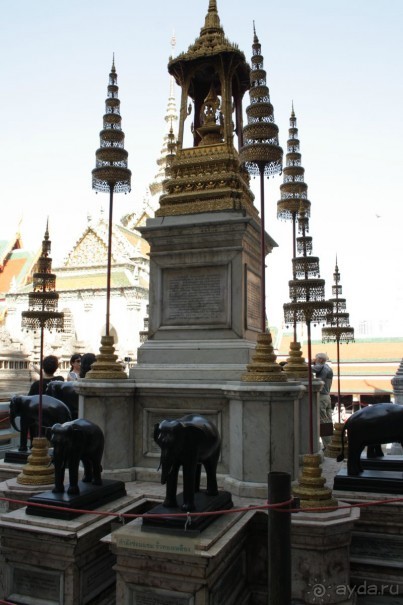 Из Сибири в "Вечное лето"