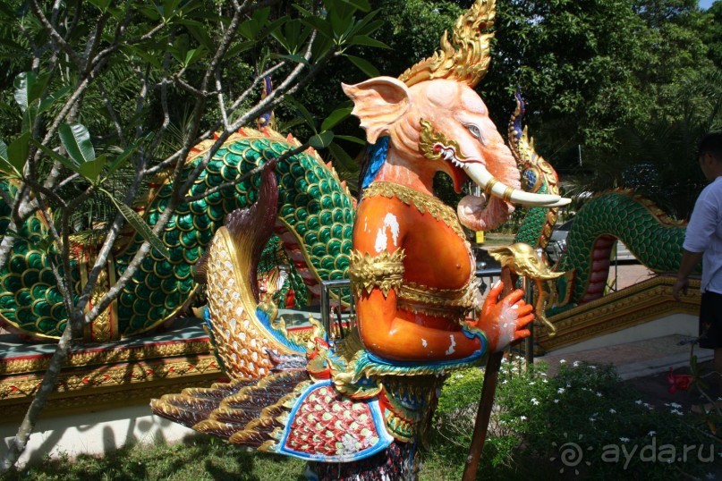 Из Сибири в "Вечное лето"