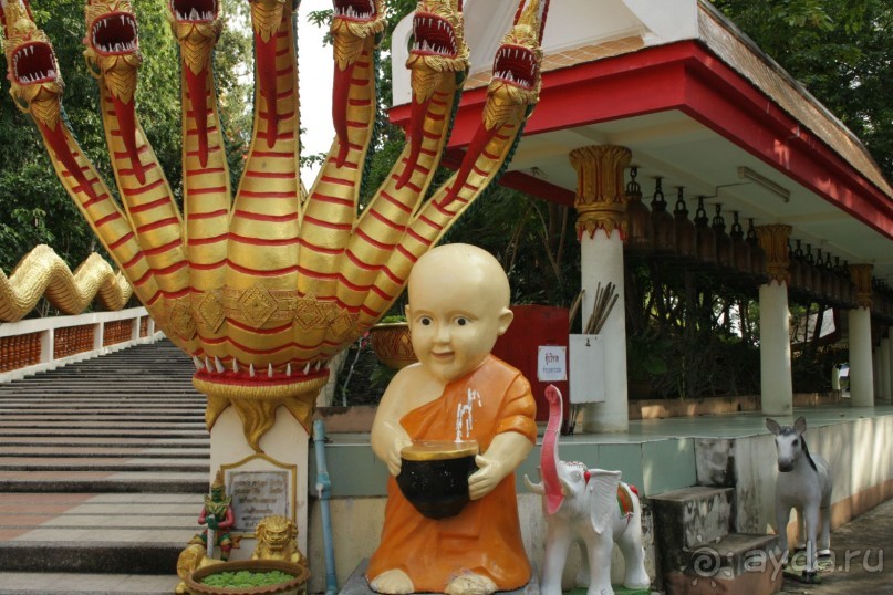 Из Сибири в "Вечное лето"