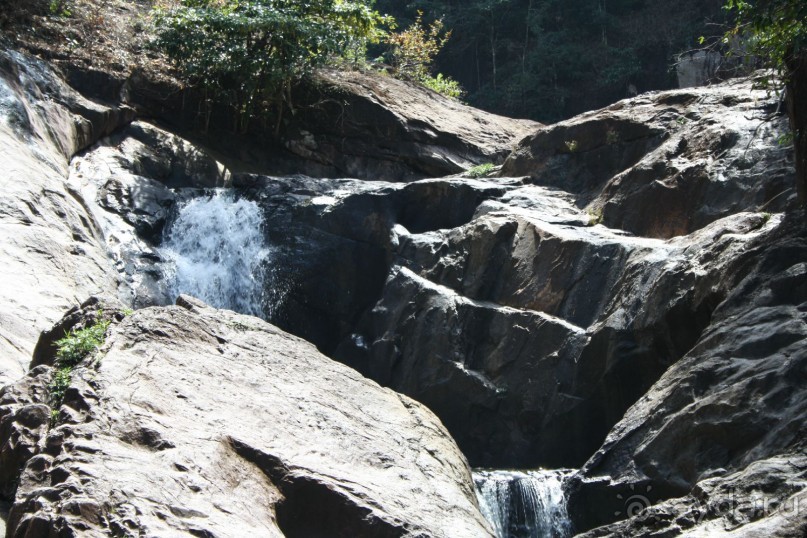 Из Сибири в "Вечное лето"