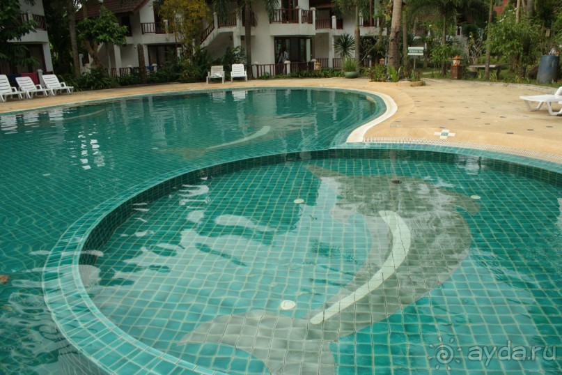 Из Сибири в "Вечное лето"