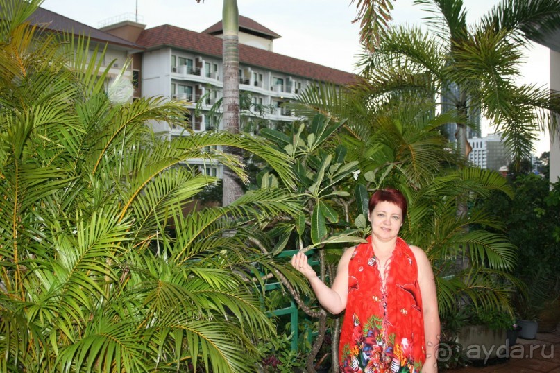 Из Сибири в "Вечное лето"