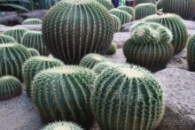 фото Montien Pattaya