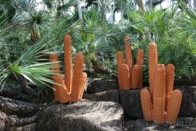 фото Montien Pattaya