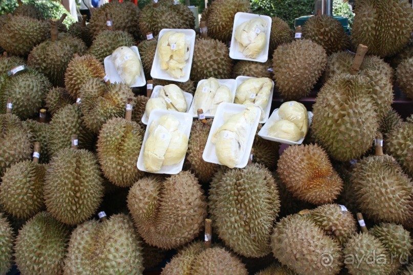 фото Montien Pattaya