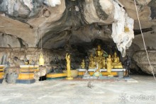 Храм диких обезьян