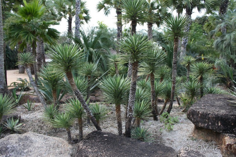 фото Montien Pattaya