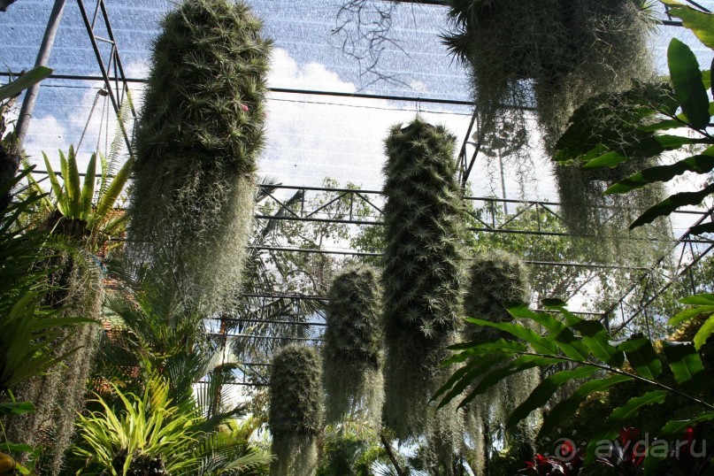 фото Montien Pattaya