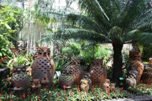 фото Montien Pattaya