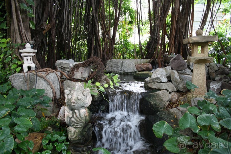 фото Montien Pattaya