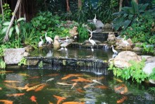 фото Montien Pattaya