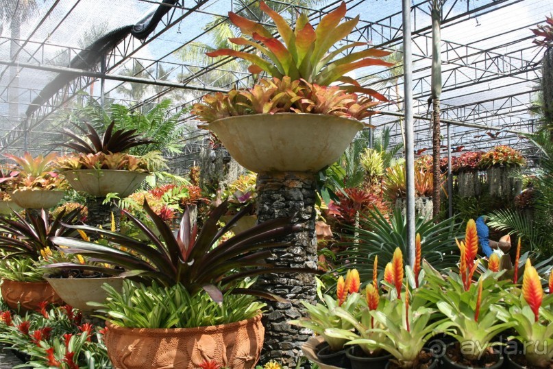 фото Montien Pattaya