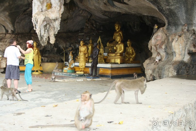 Храм диких обезьян