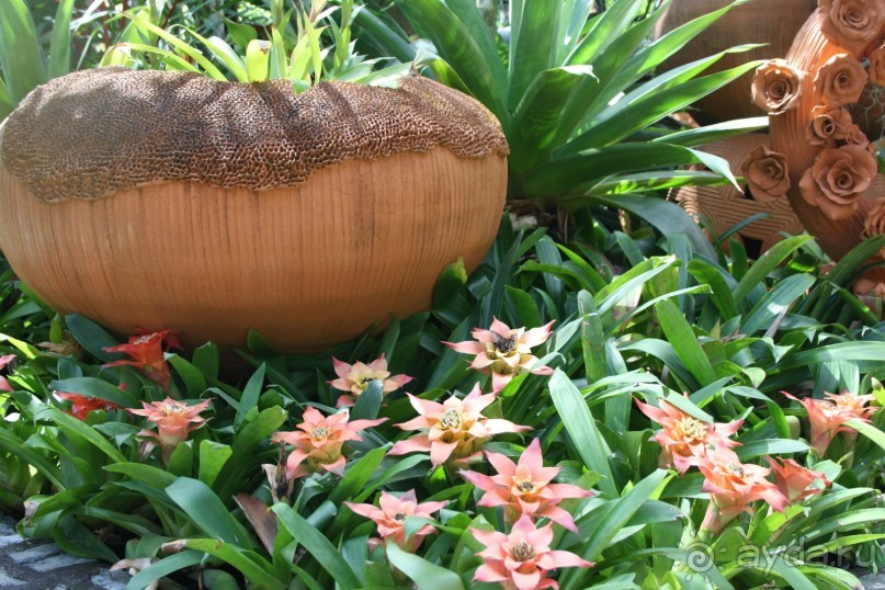 фото Montien Pattaya