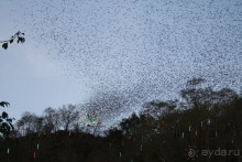 фото Montien Pattaya