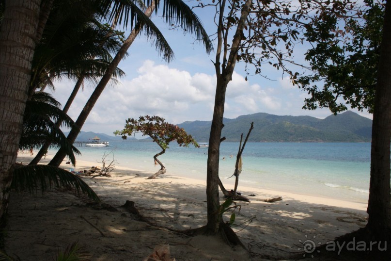 фото Montien Pattaya