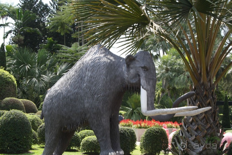 фото Montien Pattaya