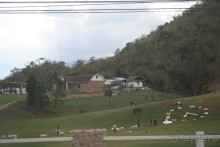 фото Montien Pattaya