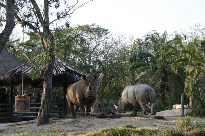 Зоопарк Кхао Кхео