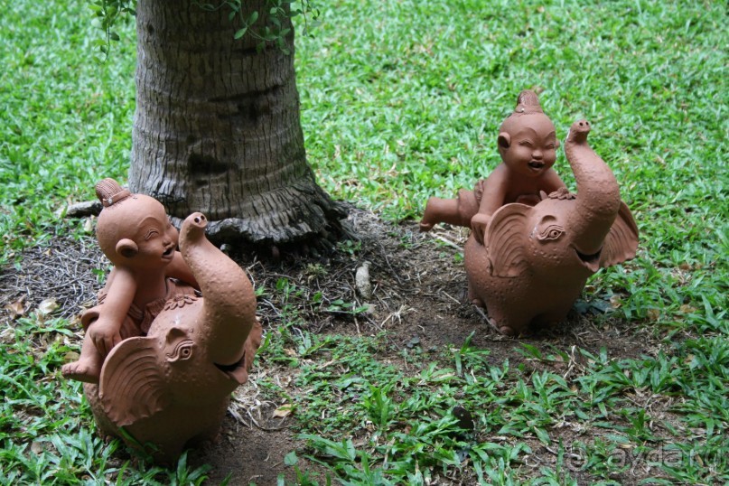 Территория отеля