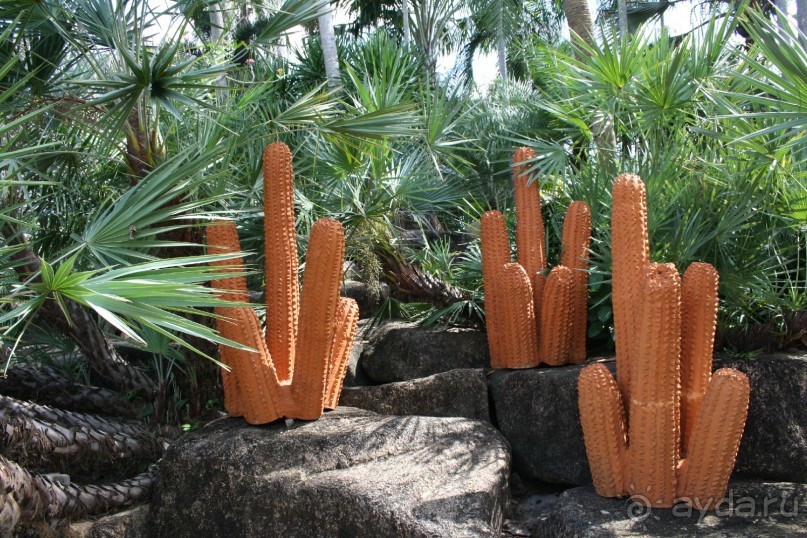 Парк Нонг Нуч, сад кактусов